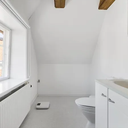 5587-svaneke-otto-holst-bakke-2